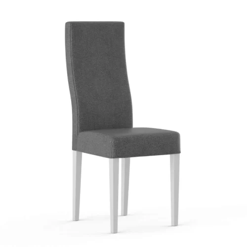 modelo-5-1160x1160
